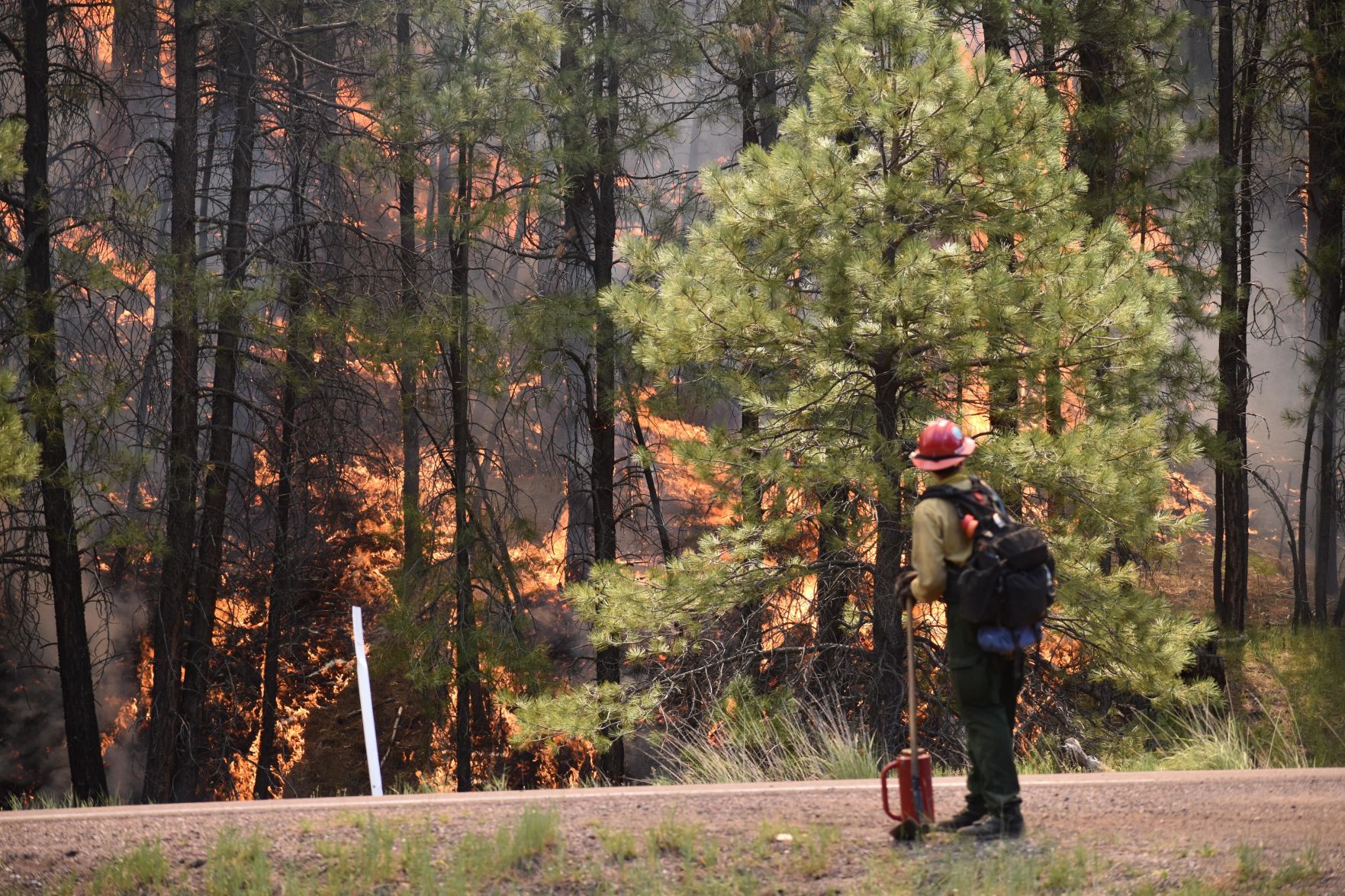 Coldwater Fire